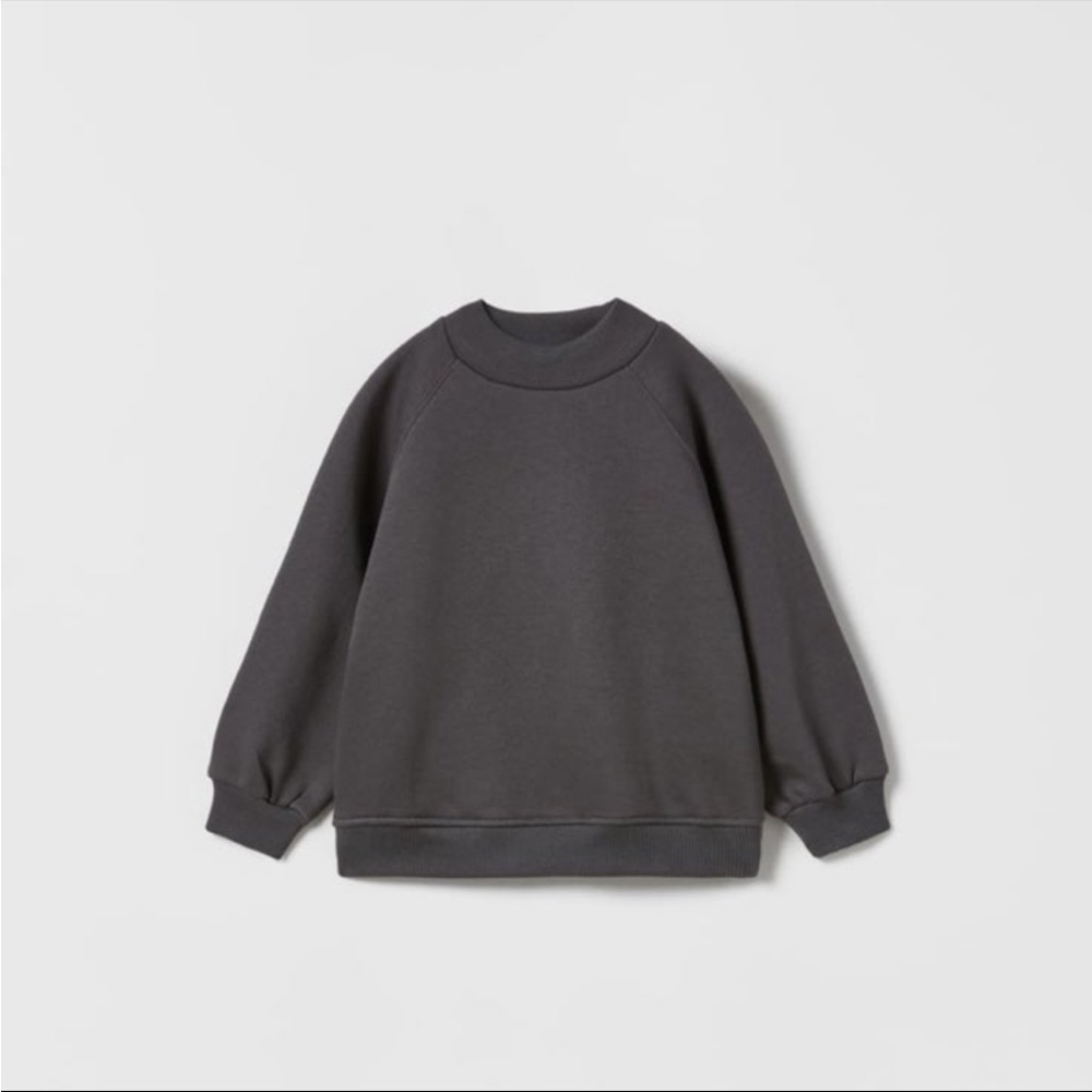 Zara sweatshirt